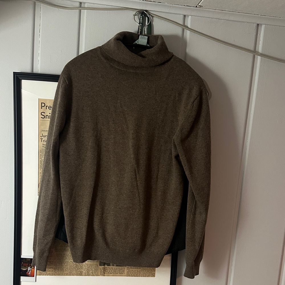Celeste cashmere womens Turtleneck Sweater in Brown